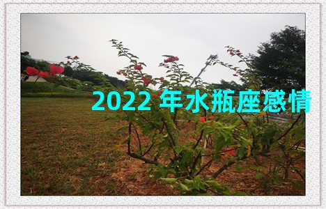 2022 年水瓶座感情